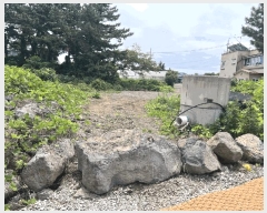  2025Ÿ8189  ֽ õ Դ 1991-6      (Ӿ)