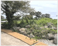  2025Ÿ8189  ֽ õ Դ 1991-6      (Ӿ)