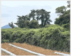  2025Ÿ8189  ֽ õ Դ 1991-6      (Ӿ)