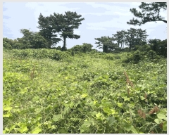  2025Ÿ8189  ֽ õ Դ 1991-6      (Ӿ)