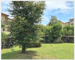  2025Ÿ��8198  ���ð��