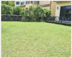  2025Ÿ��8198  ���ð��