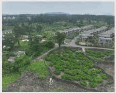  2025Ÿ��8230 ���� �������� ������ ������ 1240-2      ����(�Ӿ�)���