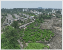  2025Ÿ��8230 ���� �������� ������ ������ 1240-2      ����(�Ӿ�)���