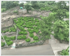  2025Ÿ��8230 ���� �������� ������ ������ 1240-2      ����(�Ӿ�)���