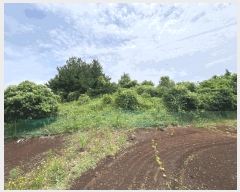  2025Ÿ��8237  �Ӿ߰��