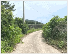  2025Ÿ��8237  �Ӿ߰��