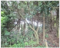  2025Ÿ��8237  �Ӿ߰��