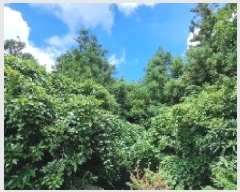  2025Ÿ��8237  �Ӿ߰��