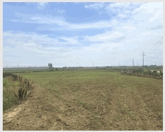  2025Ÿ8288  ֽ Ѱ 긮 3140-9      (1)