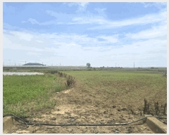  2025Ÿ8288  ֽ Ѱ 긮 3140-9      (1)