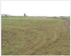  2025Ÿ8288  ֽ Ѱ 긮 3140-9      (1)