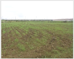  2025Ÿ8288  ֽ Ѱ 긮 3140-9      (1)