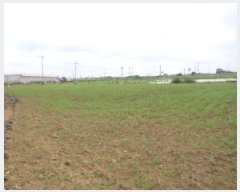  2025Ÿ8288  ֽ Ѱ 긮 3140-9      (1)