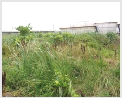  2025Ÿ8288  ֽ Ѱ 긮 3140-9      (1)