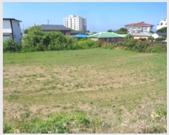  2025Ÿ8315  ֽ Ѱ 긮 2440      (1)