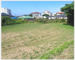  2025Ÿ8315  ֽ Ѱ 긮 2440      (1)