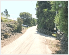  2025Ÿ8351     911-1      ()