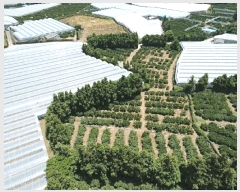  2025Ÿ8351     911-1      ()