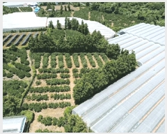  2025Ÿ8351     911-1      ()