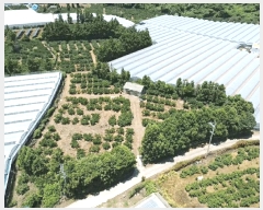  2025Ÿ8351     911-1      ()