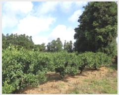  2025Ÿ8351     911-1      ()