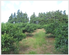  2025Ÿ8351     911-1      ()