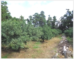  2025Ÿ8351     911-1      ()