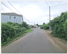  2025Ÿ��8495 ���� �������� �ȴ��� ������ 2462-6      ����(������)���