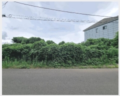  2025Ÿ��8495 ���� �������� �ȴ��� ������ 2462-6      ����(������)���