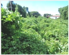  2025Ÿ��8495 ���� �������� �ȴ��� ������ 2462-6      ����(������)���