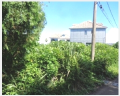  2025Ÿ��8495 ���� �������� �ȴ��� ������ 2462-6      ����(������)���