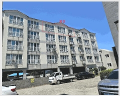  2025Ÿ��8513  �ټ���(����)���