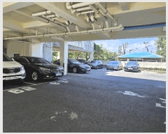  2025Ÿ��8513  �ټ���(����)���