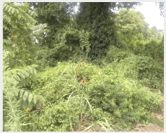  2025Ÿ��8523 ���� �������� ������ ������ 160-1      ����(�Ӿ�)���