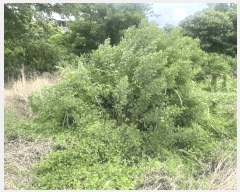  2025Ÿ��8523 ���� �������� ������ ������ 160-1      ����(�Ӿ�)���