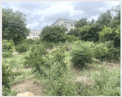  2025Ÿ��8523 ���� �������� ������ ������ 160-1      ����(�Ӿ�)���