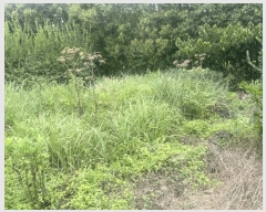  2025Ÿ��8523 ���� �������� ������ ������ 160-1      ����(�Ӿ�)���