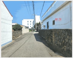  2025Ÿ��8532 ���� �������� ������ ��� 87-21      ���ð��