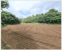  2025Ÿ��8540 ���� �������� ������ ��õ�� 691-1      ���ð��