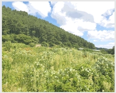  2025Ÿ��8549  �����