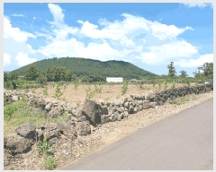  2025Ÿ��8549  �����