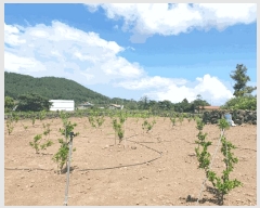  2025Ÿ��8549  �����