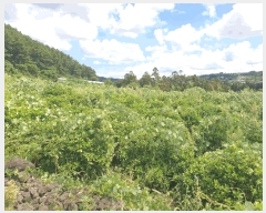  2025Ÿ��8549  �����