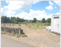  2025Ÿ��8549  �����