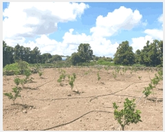  2025Ÿ��8549  �����