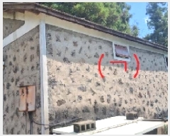  2025Ÿ��8559 ���� �������� ��ȣ�� 50       ����,â�����