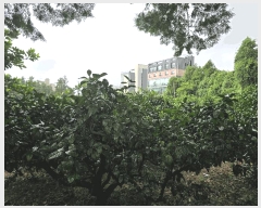  2025Ÿ��8559 ���� �������� ��ȣ�� 50       ����,â�����