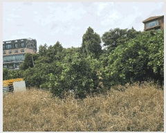  2025Ÿ��8559 ���� �������� ��ȣ�� 50       ����,â�����