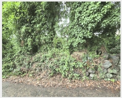  2025Ÿ��8559 ���� �������� ��ȣ�� 50       ����,â�����